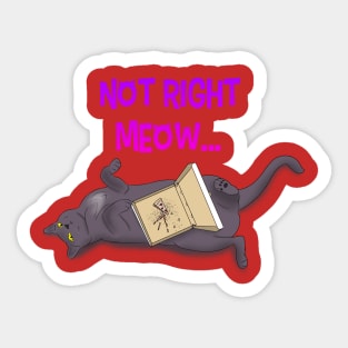 Not Right Meow Sticker